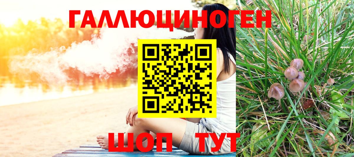 Галлюциногенные грибы GOLDEN TEACHER Ялта